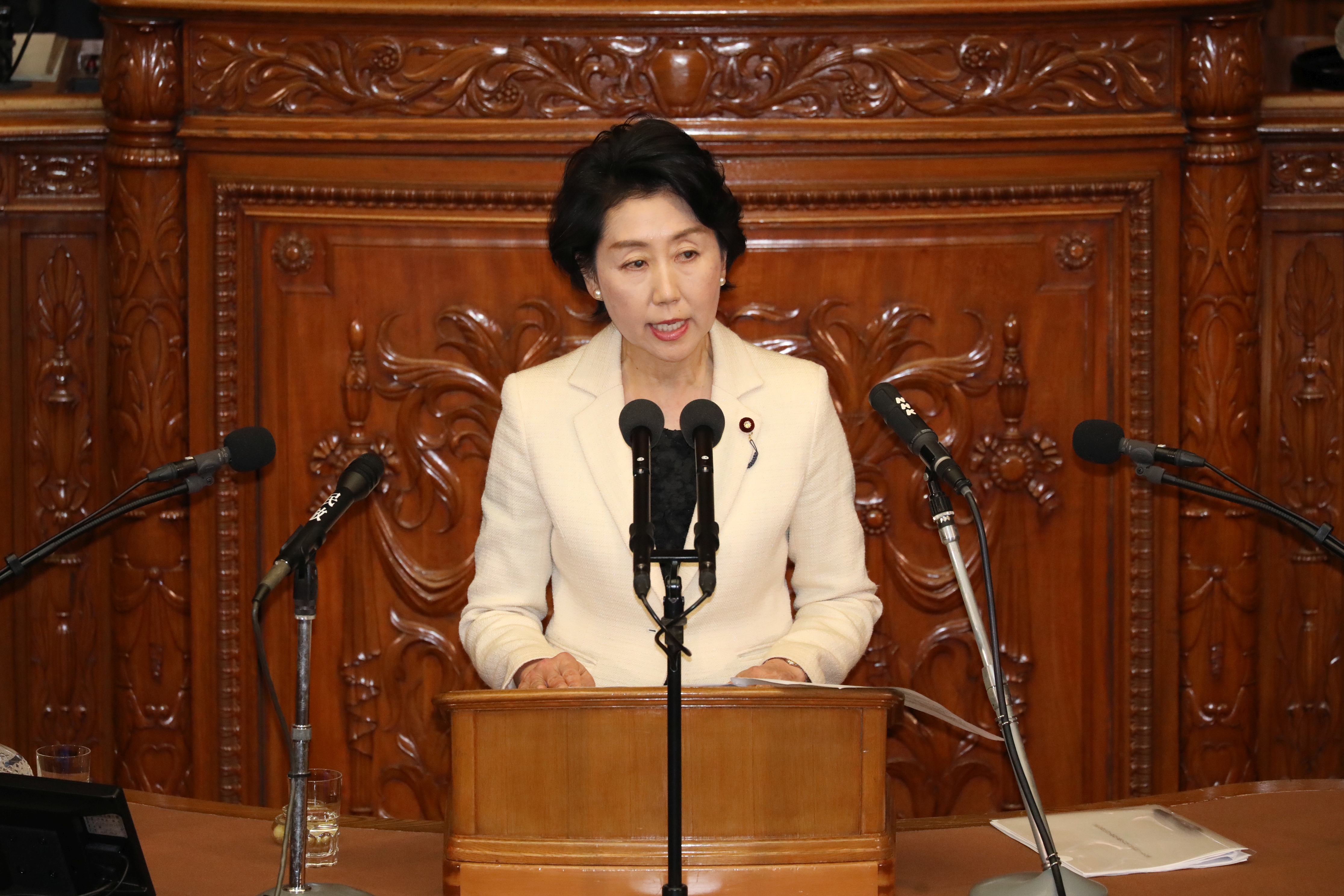 衆院本会議で反対討論を行う早稲田議員